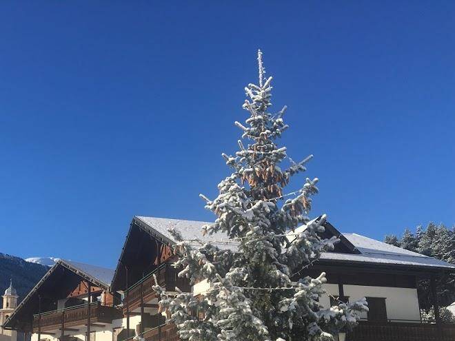 Residence fior d'alpe