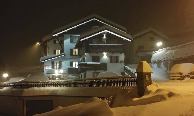 Stella alpina di levi e e butti c s n c