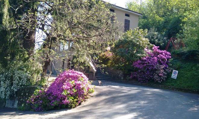 Albergo Ristorante Le Ortensie Di Arioli Stefania Image