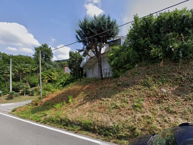 App To Paulina 167s Image