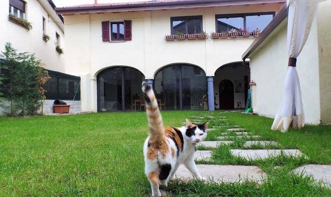 B&b le tre arti gavirate