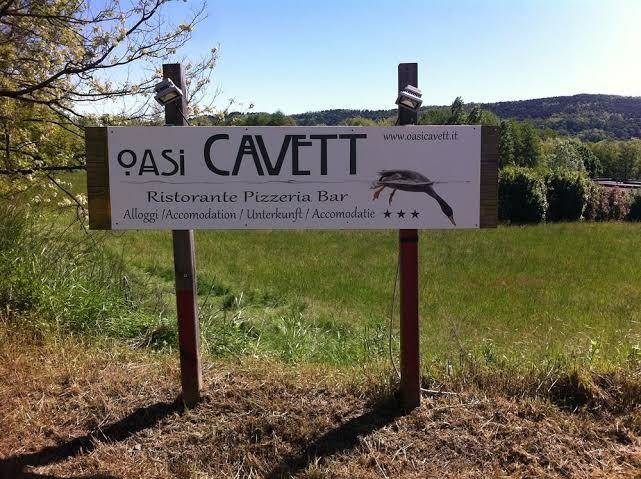 Oasi cavett