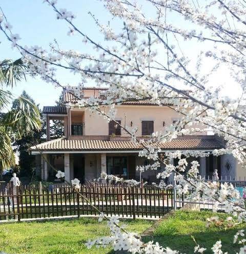 Affittacamere luconi