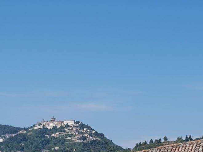 Agriturismo il boschetto