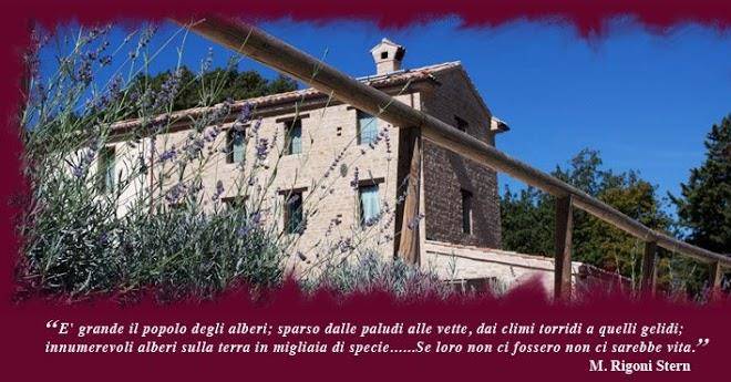 Agriturismo l'alboreto salvatico