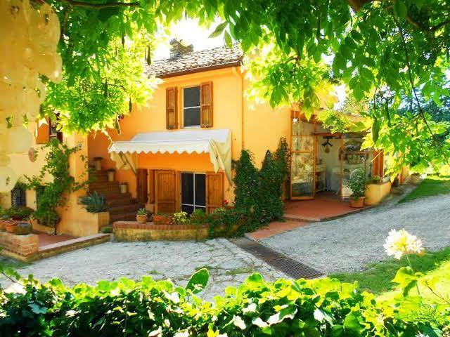 B&b glicine