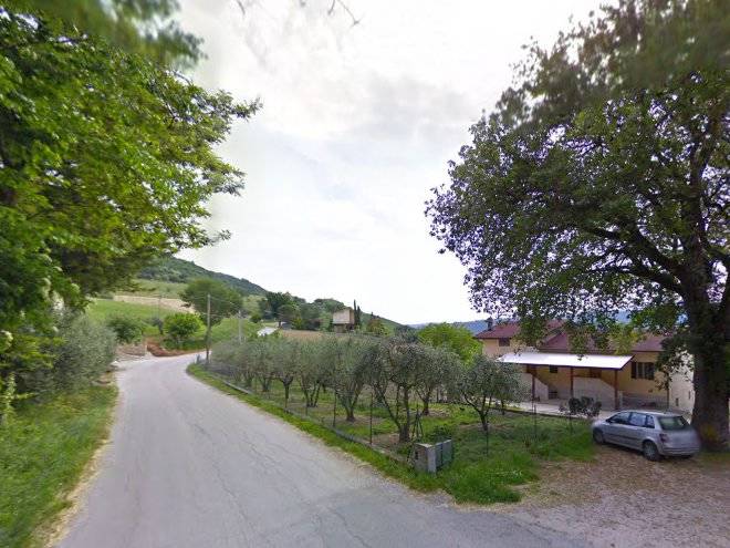 B&b il grande albero