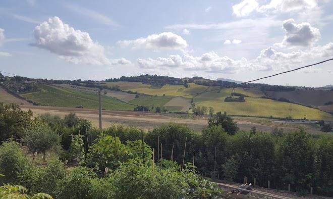 B&b Shabby Chic Image