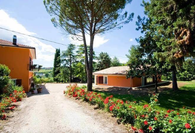 Bed and breakfast bellafiora affittacamere