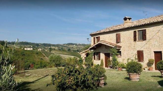 Cascinale la mimosa