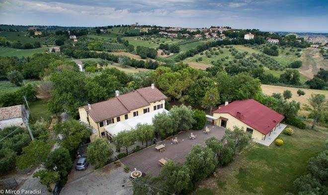 Gli ulivi del monte