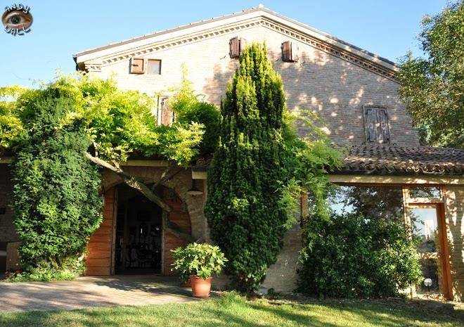 Il papavero b&b