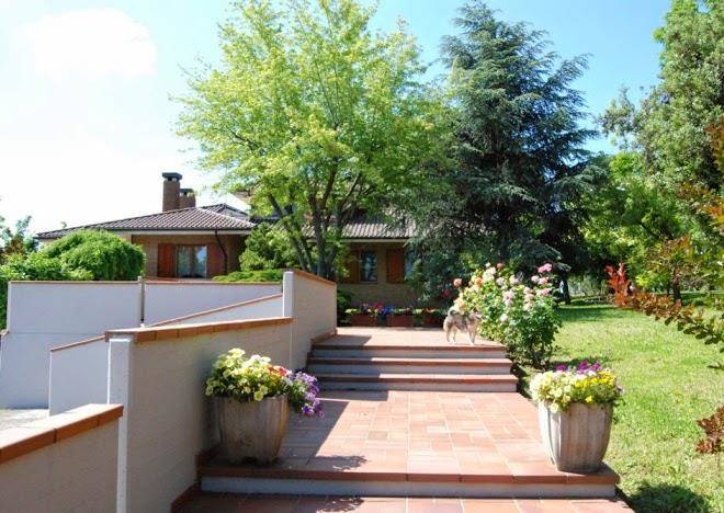 La collina sul mare