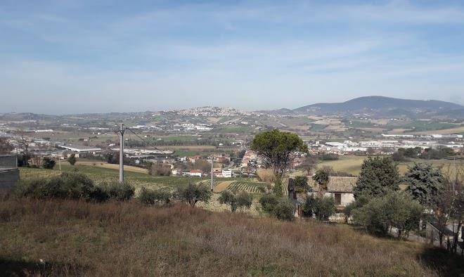 Oasi della pace