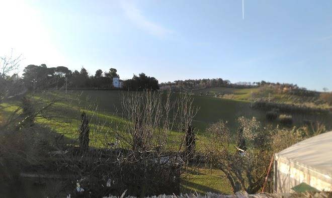 Osteria dell'arca l'arca di noa