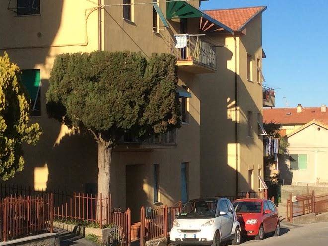 Passo dopo passo