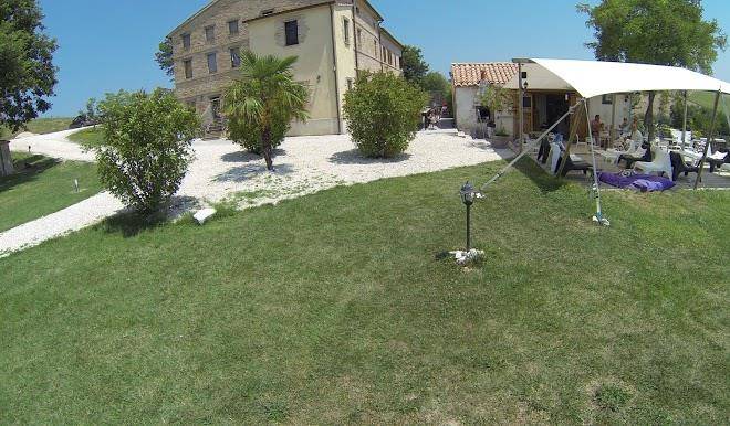Tenuta tredici ulivi