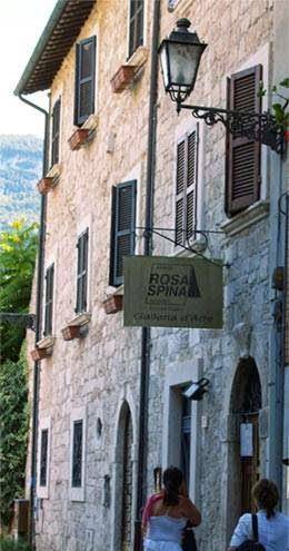 B&b rosa spina