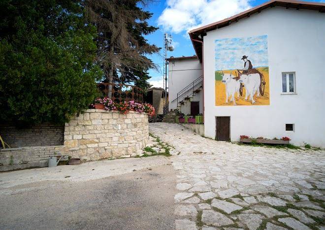 Fattoria La Cona Image