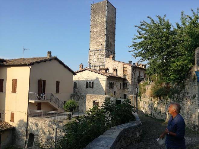 Le canterine