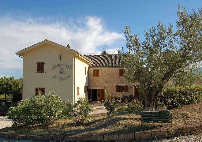 Nascondiglio Di Bacco Image