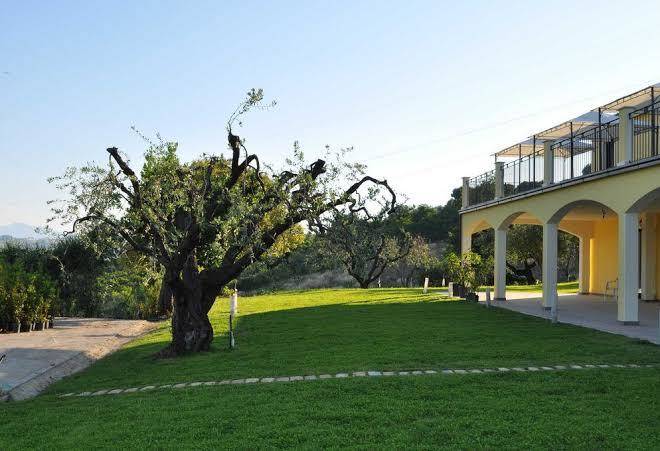 Agriturismo montemaggio