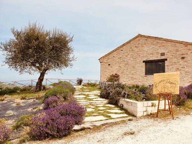 Azienda agricola abbruzzetti
