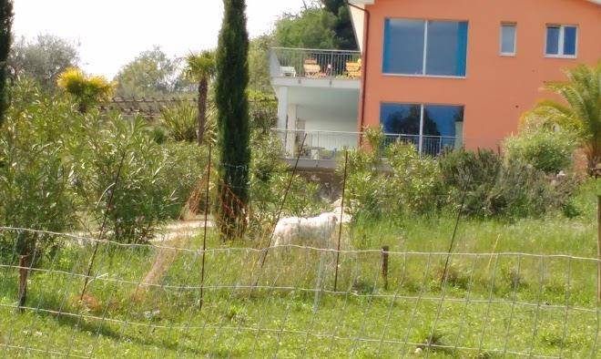 B&b saltareccio