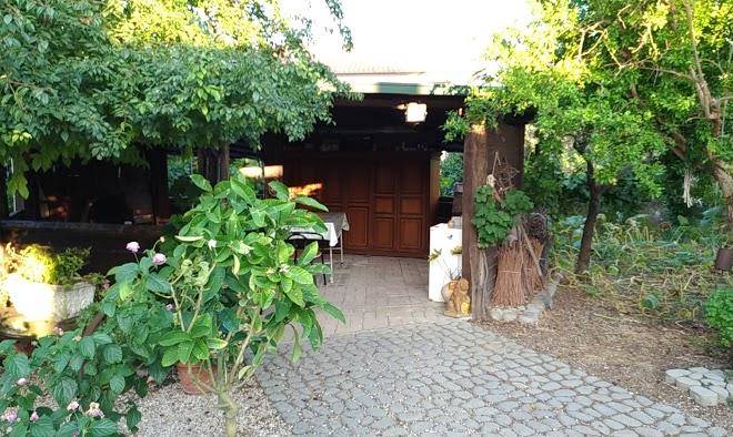 Il giardino delle noci