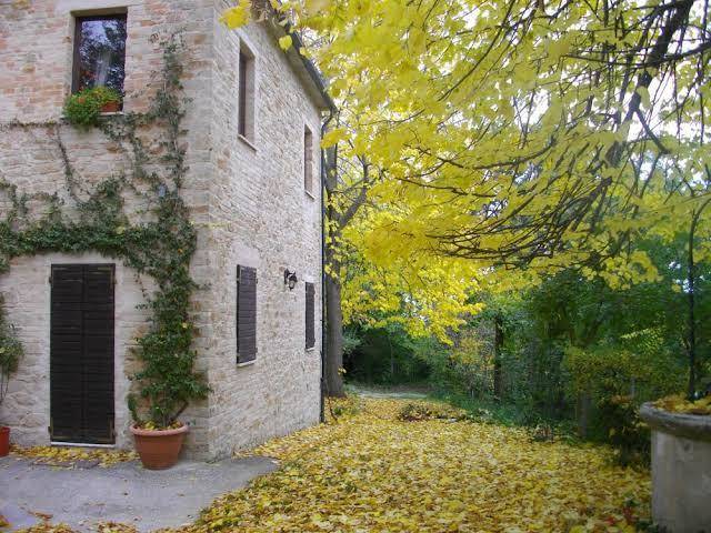 La casita