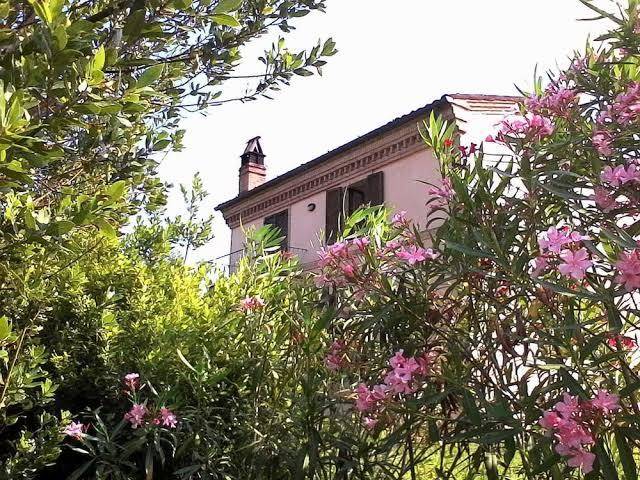 Yogalujah holistic b&b