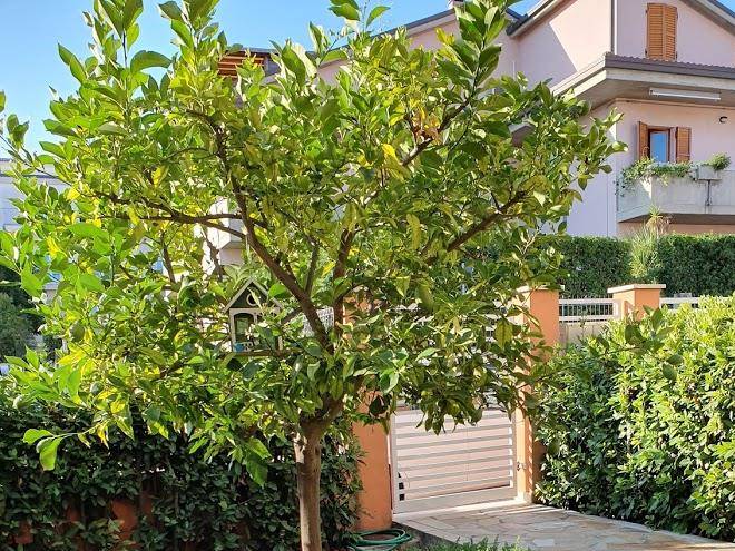 B&b il giardino di viki