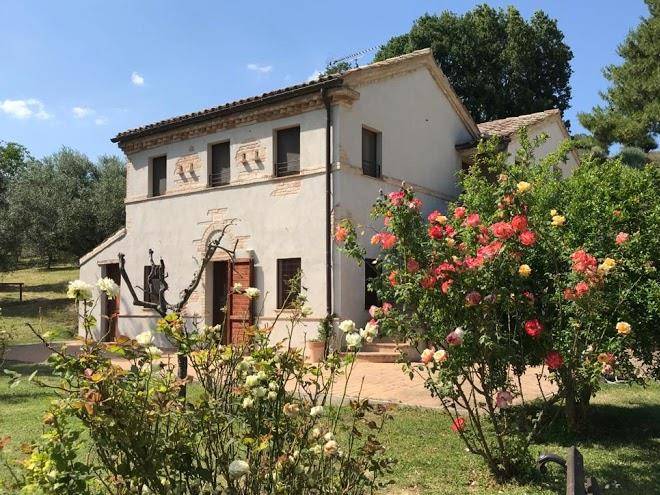 Il Gelso Antico Image