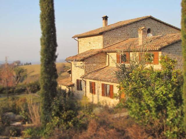 Il picchio verde