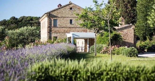 Pamperduto Country Resort Image