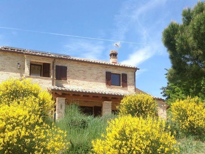 Poggio delle lavande