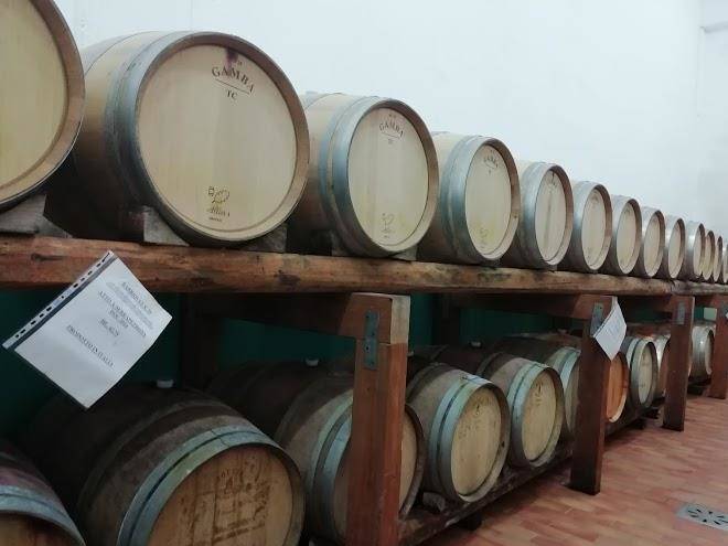 Terre di serrapetrona ss