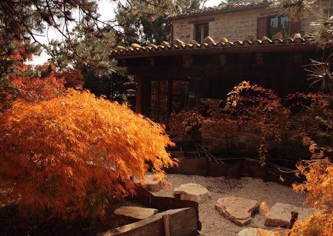 Wabisabi Culture Image