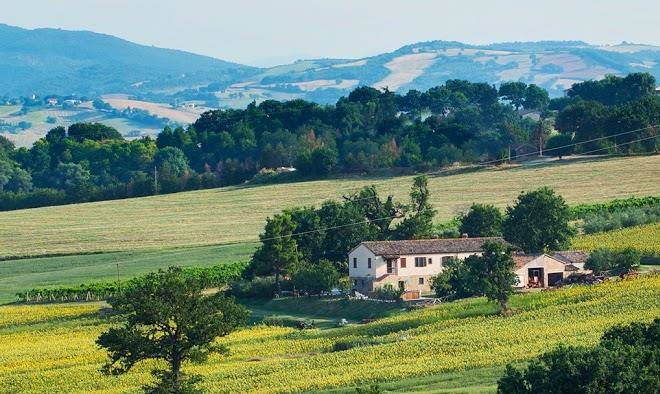Agriturismo angeli