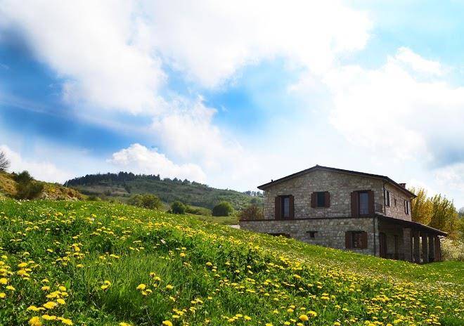 Agriturismo e fattoria biologica l'a ceccoli
