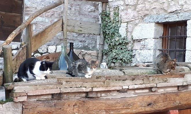 Agriturismo slowcanda