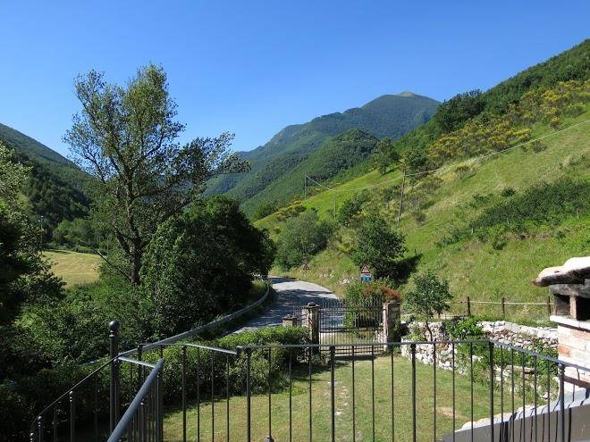 Aipiedidelcatria b&b