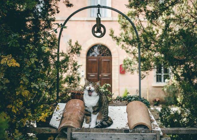 B&b ca' paiardo