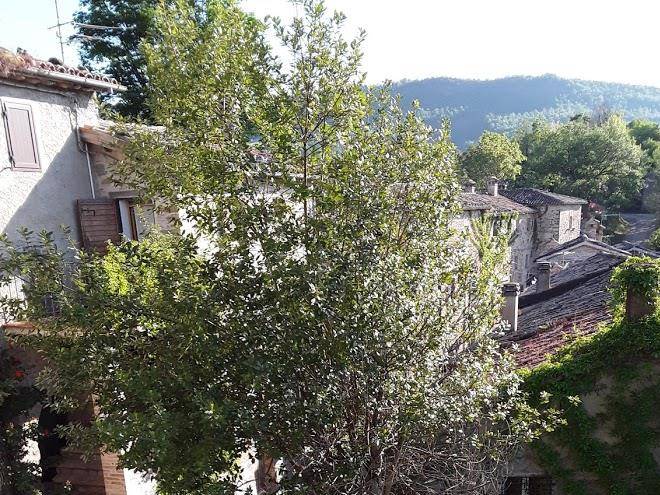 B&b la locanda di cavoleto