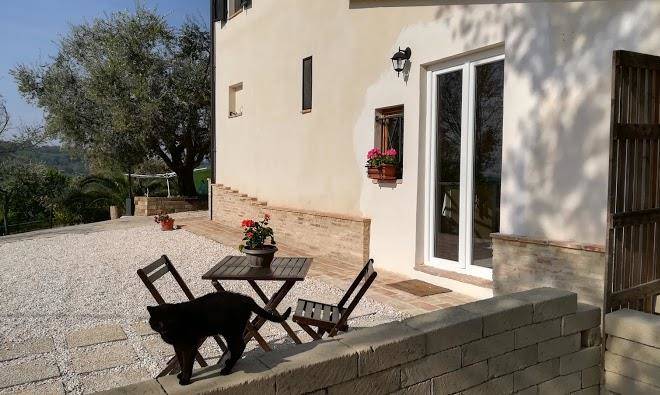 B&b sotto l'ulivo