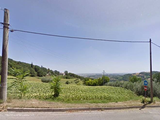 Il bosco dei ciclamini