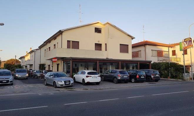 Il gabbiano