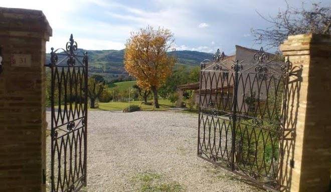 Il poggio dei prugnoli