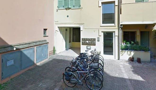 La casina dei gatti