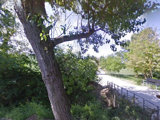 Rosetwo Nelle Marche Image